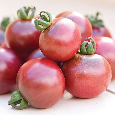 Rosella, Organic Tomato Seeds - 5,000 Seeds image number null